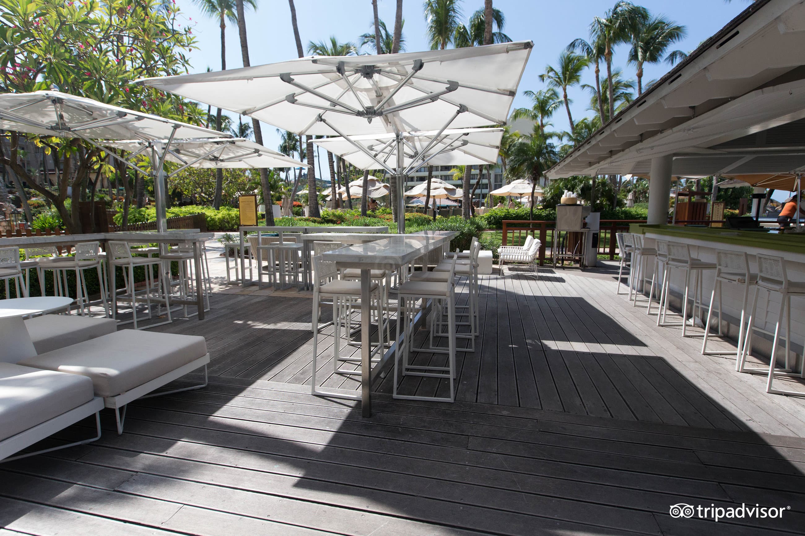 Palms Beach Bar at the Hyatt Regency Aruba Resort and Casino