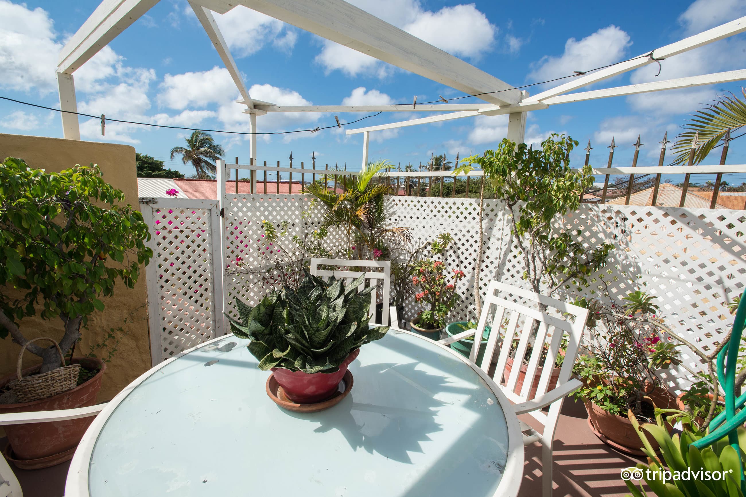 Patio at the A1 Apartments Aruba