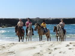 Private Beach ride