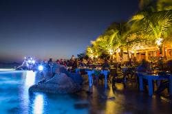 Flying Fishbone views