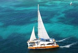 Palm Pleasure Sailing and Snorkeling trips