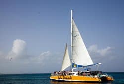 Palm Pleasure sailing