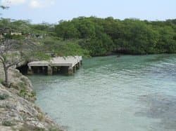Mangel Halto Beach  Aruba