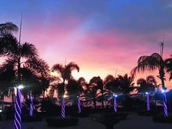 Garden Sunset Glow