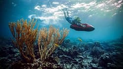 Seabob Aruba