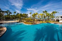 Lively Pool