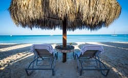 Beach Palapa