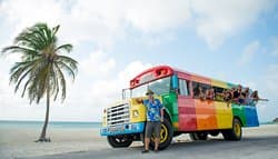 RockaBeach Tours famous Frankie's Beach Bus !
