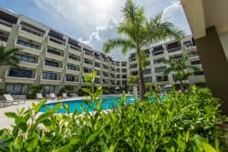 Palm Aruba Condos at TripAdvisor