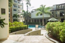 Palm Aruba Condos at TripAdvisor