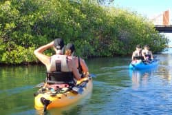 Cruise and enjoy nature with Aruba Outdoor Adventures