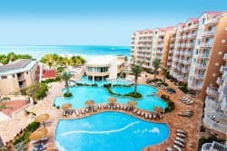 Divi Aruba Phoenix Beach Resort at TripAdvisor