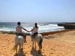 Aruba - 2019