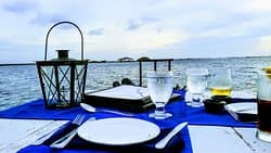 The Flying Fishbone at TripAdvisor