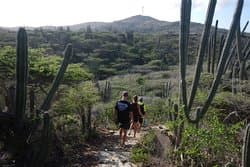 Fins & Feet Nature Tours at TripAdvisor