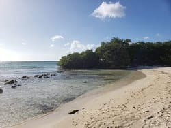 Mangel Halto Beach at TripAdvisor