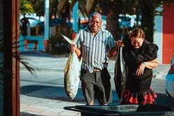 Buy fresh Tuna