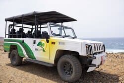 Our Jeeps are ready to take you on an adventure!