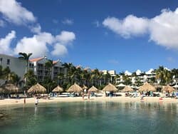 Donkey Sanctuary Aruba at TripAdvisor