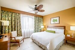 One king bedroom
