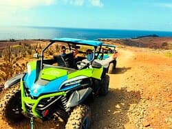 Explore Aruba like never before with AGW Tours