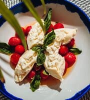 Fresh Burrata