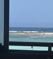 The Rum Reef Bar and Grill at TripAdvisor