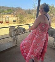 Donkey Sanctuary Aruba at TripAdvisor