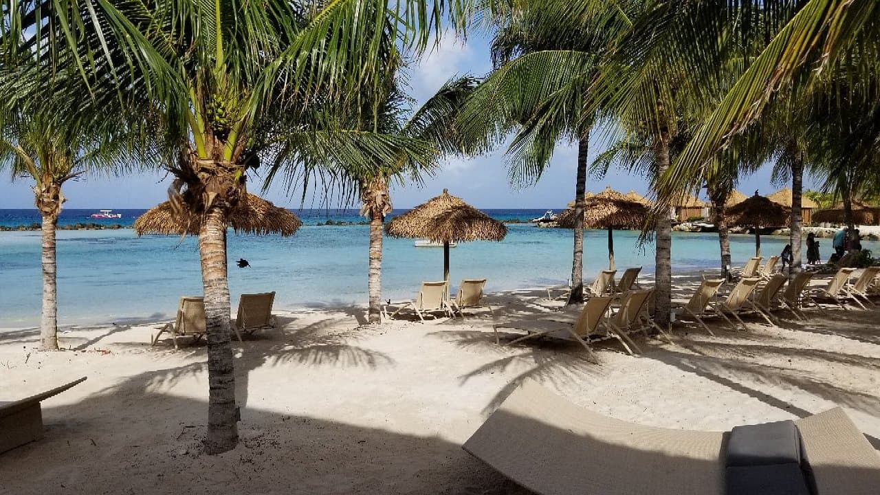 Papagayo Bar & Grill at TripAdvisor