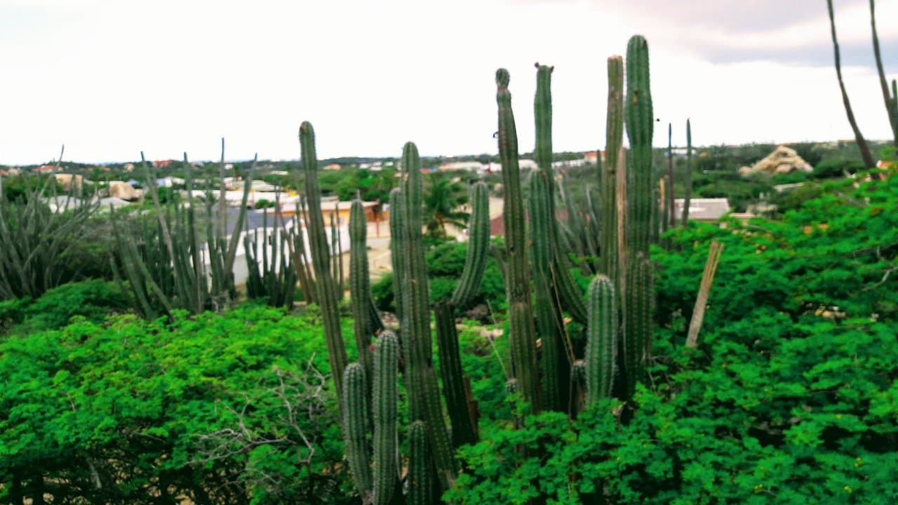 Ayo and Casibari Rock Formations