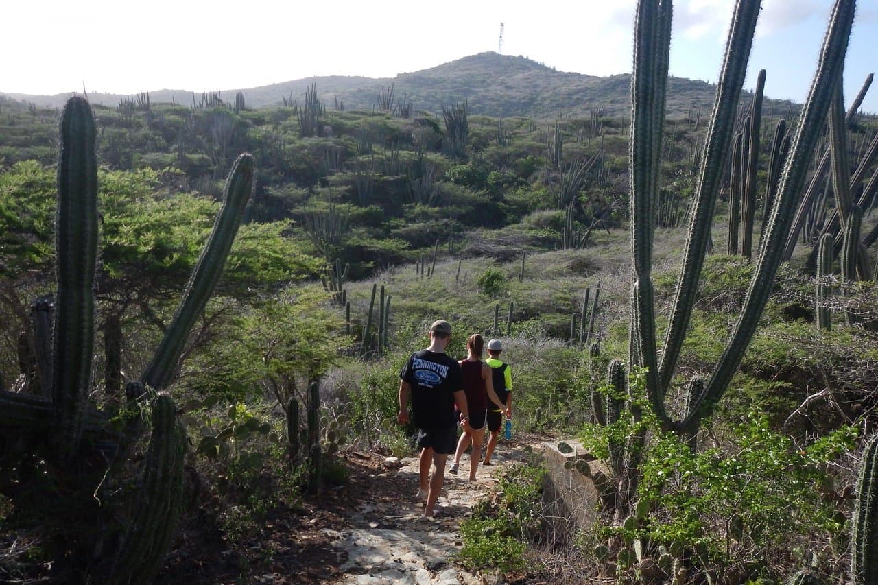 Fins & Feet Nature Tours at TripAdvisor