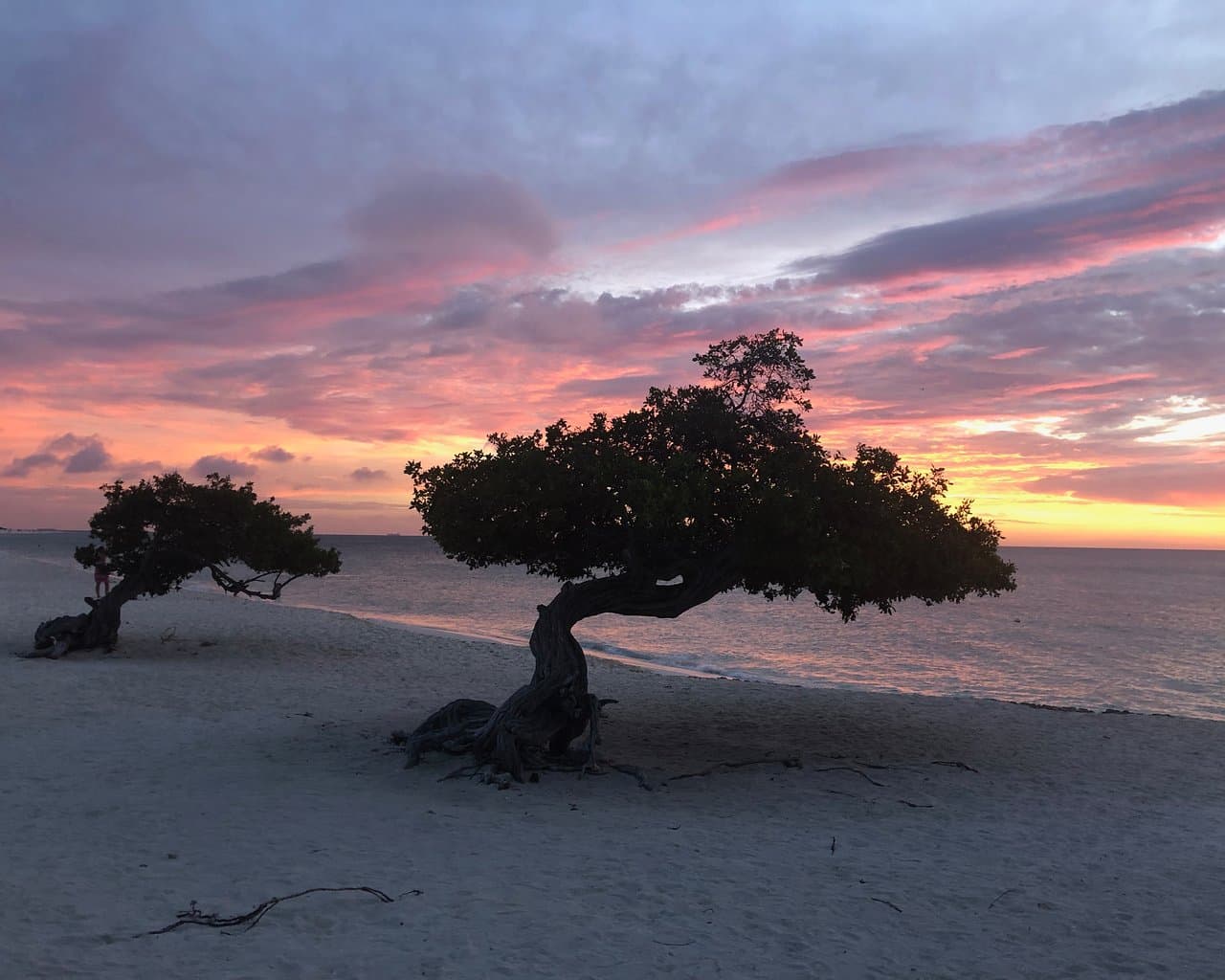 Atardecer Eagle Beach