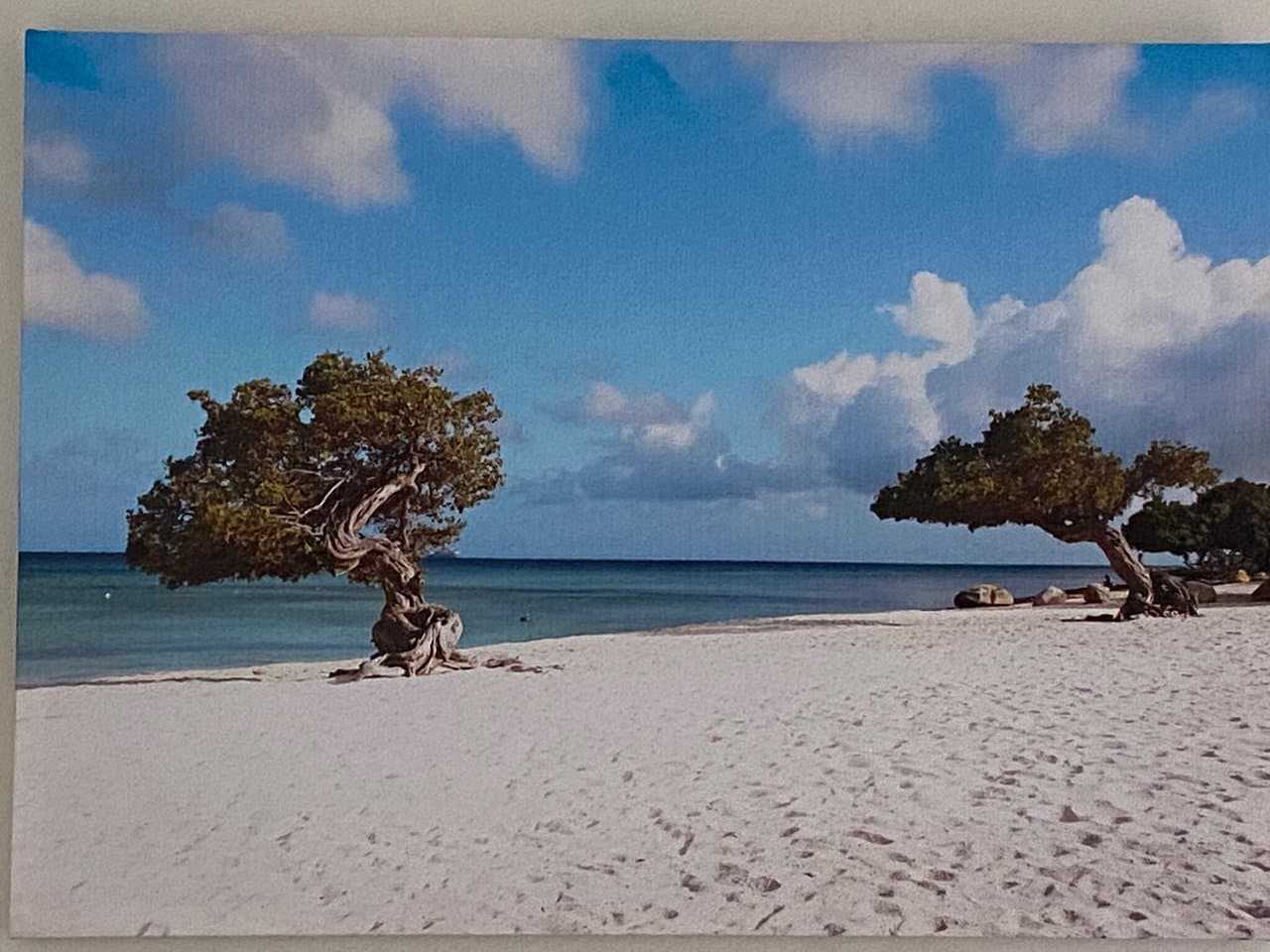 Hideout Suites at TripAdvisor