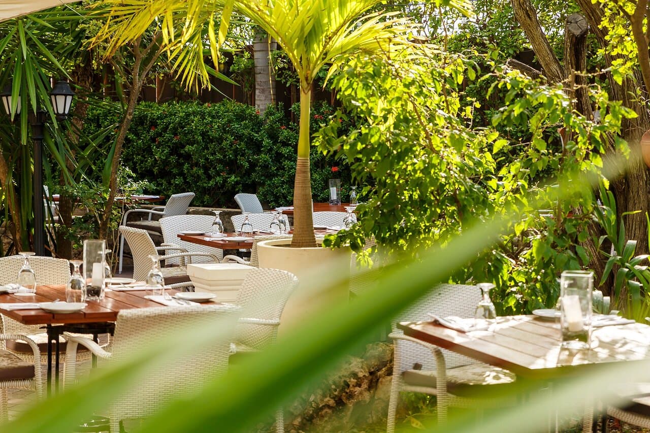 Courtyard Dining
