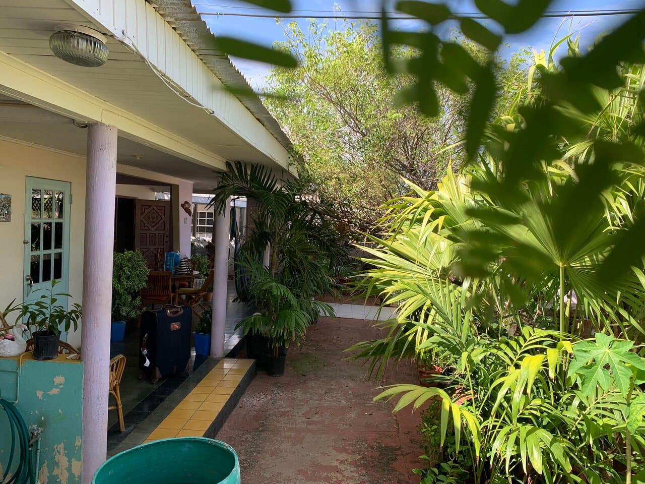Magical Garden at TripAdvisor