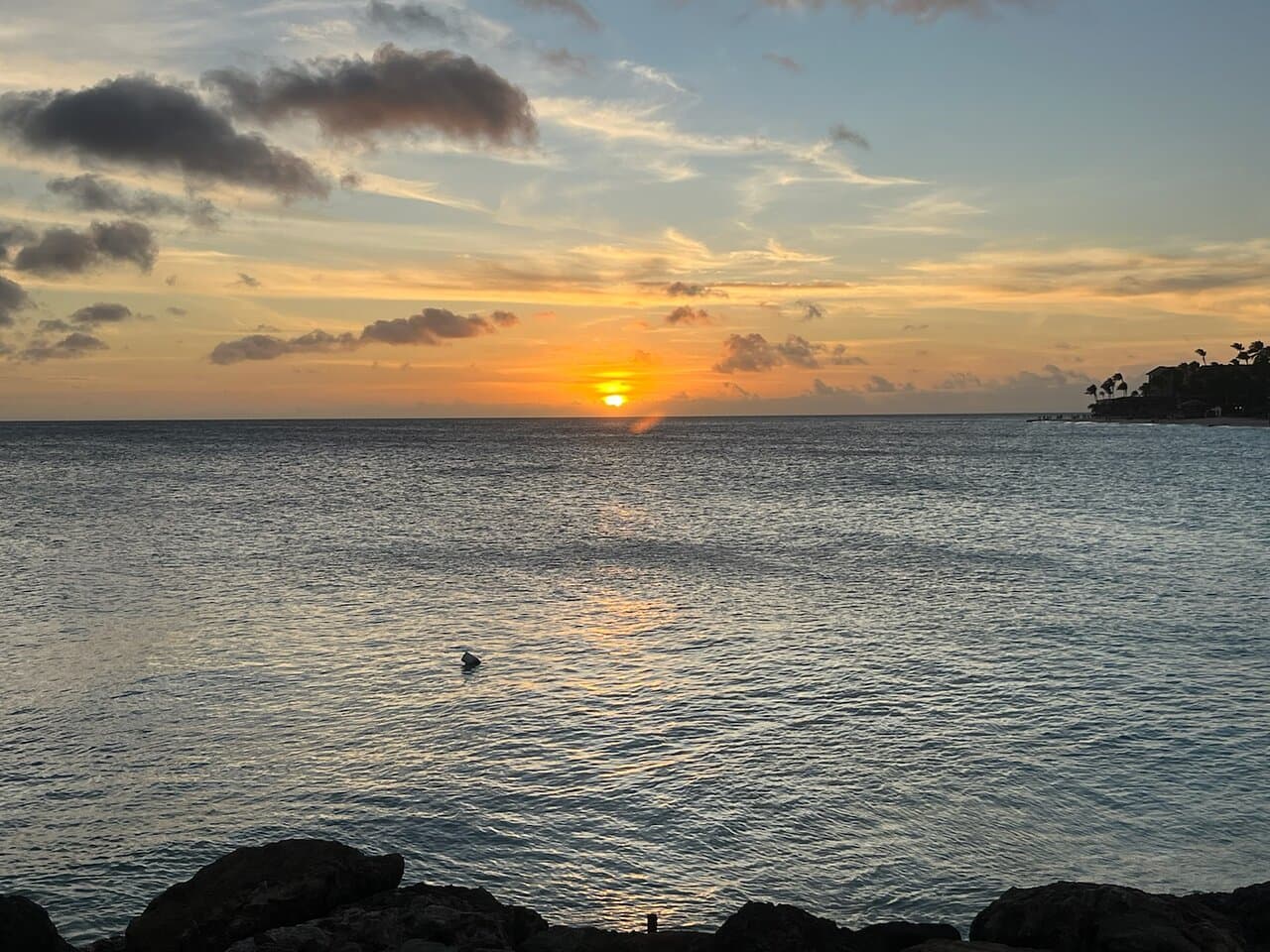 Jane Sea Shipwreck at TripAdvisor