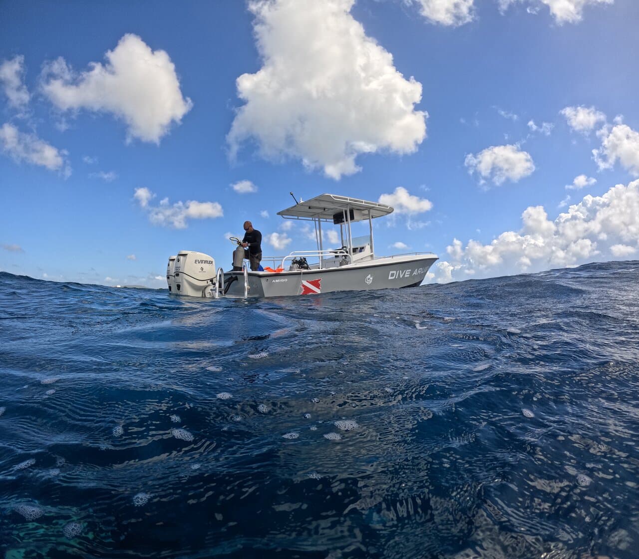 Divemaster C