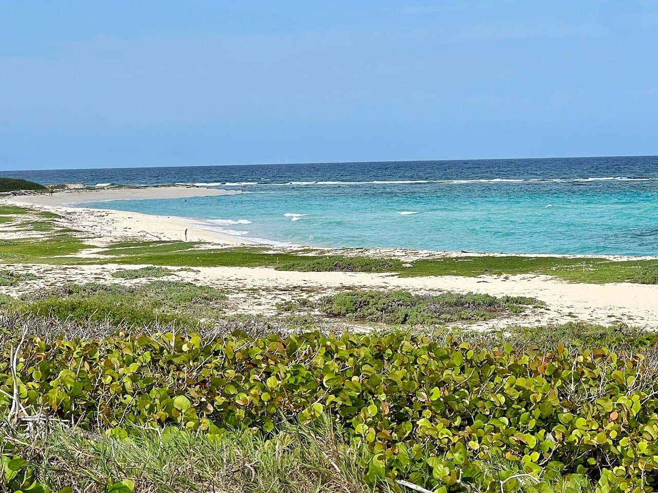 Grapefield Beach at TripAdvisor