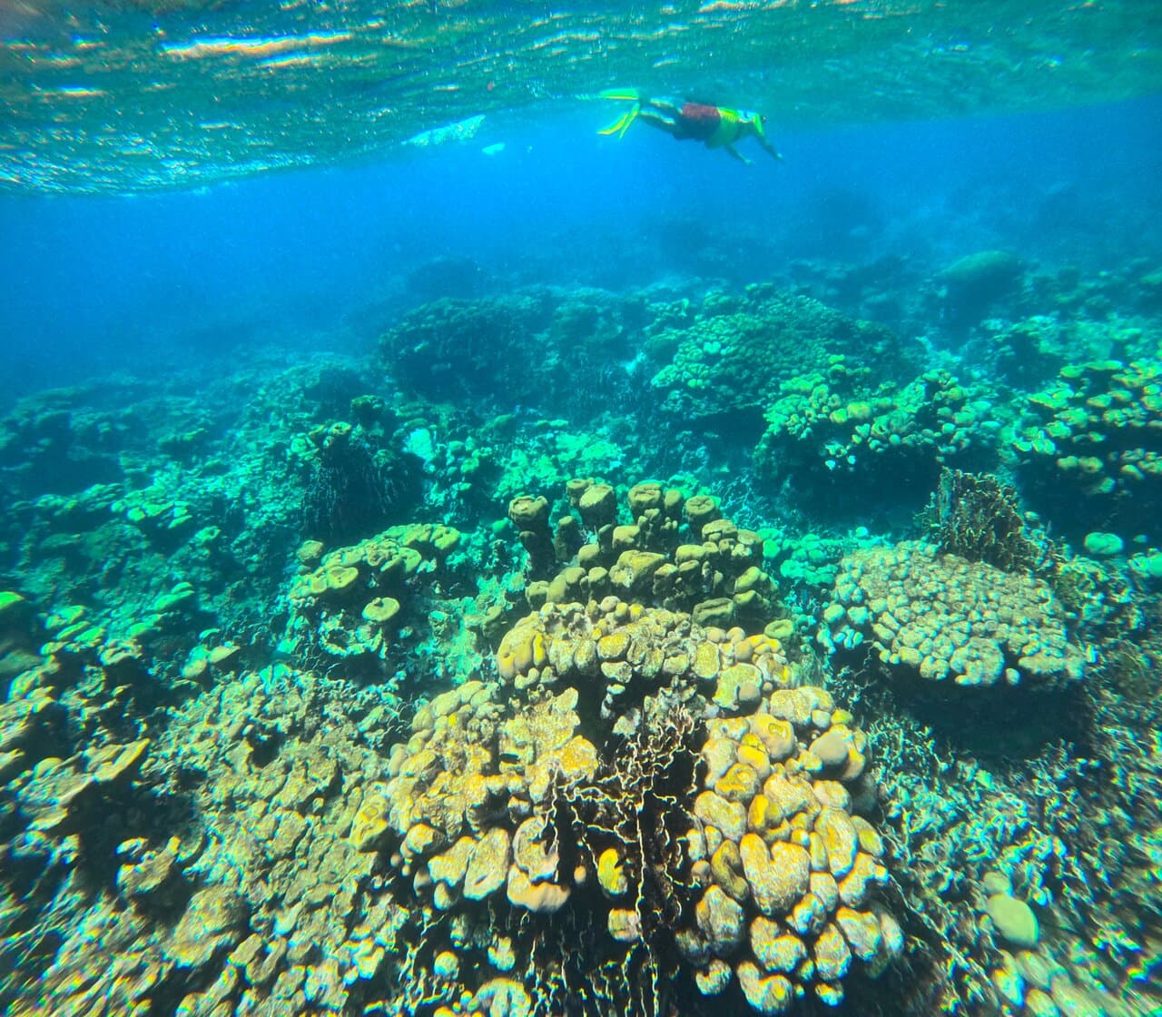 Tranquilo Charter Cruises at TripAdvisor
