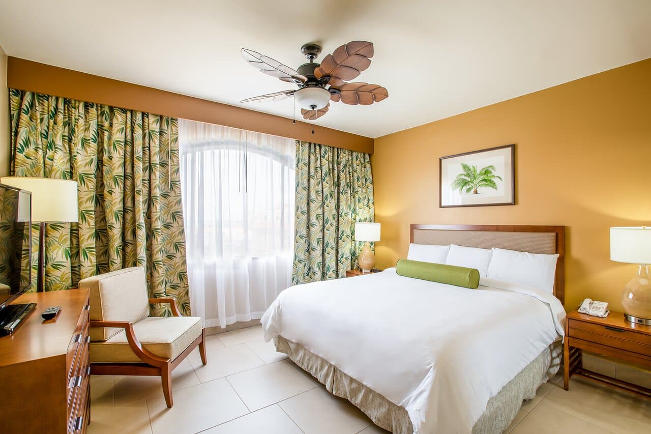 One king bedroom