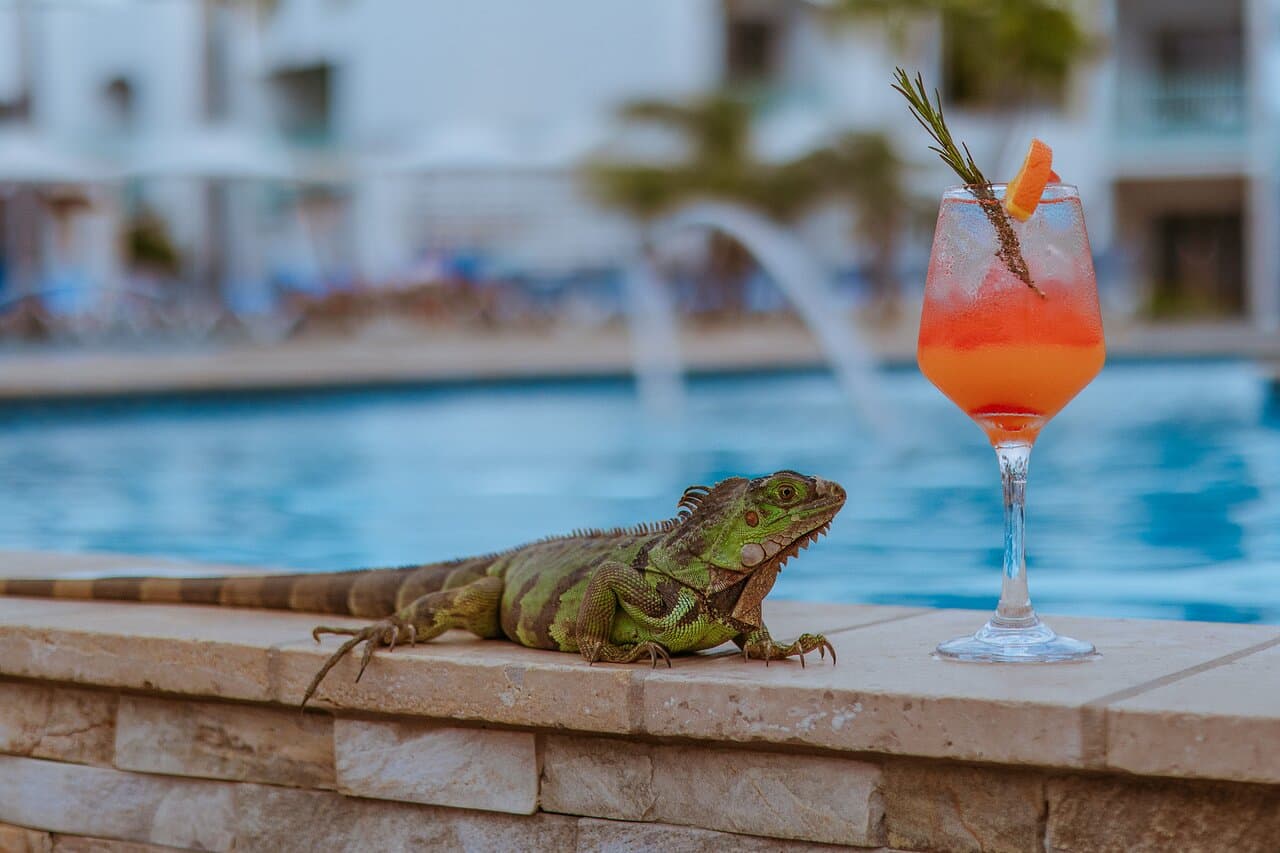 The Mill Resort & Suites at TripAdvisor
