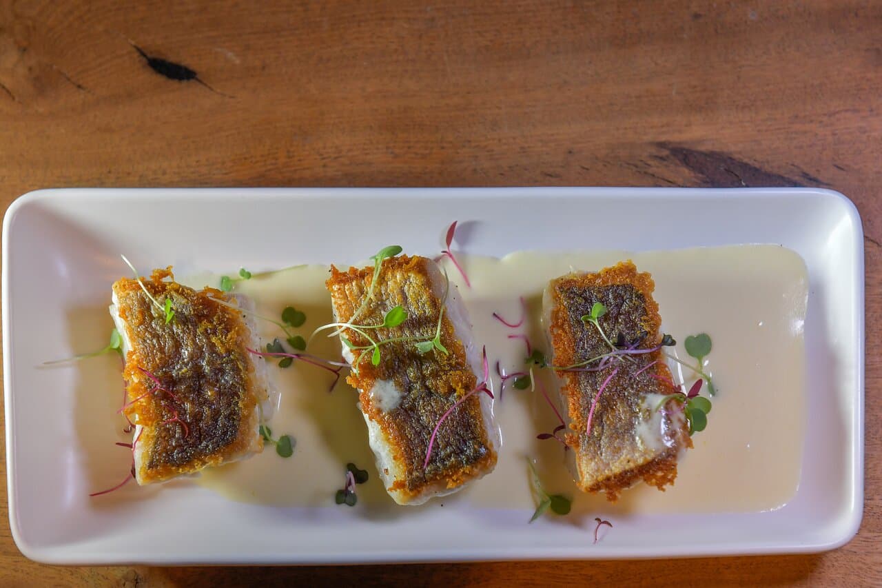 Caribbean Snapper