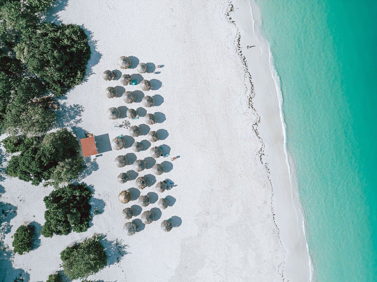 Relax naturally on Eagle Beach ranked as the best beach in the Caribbean