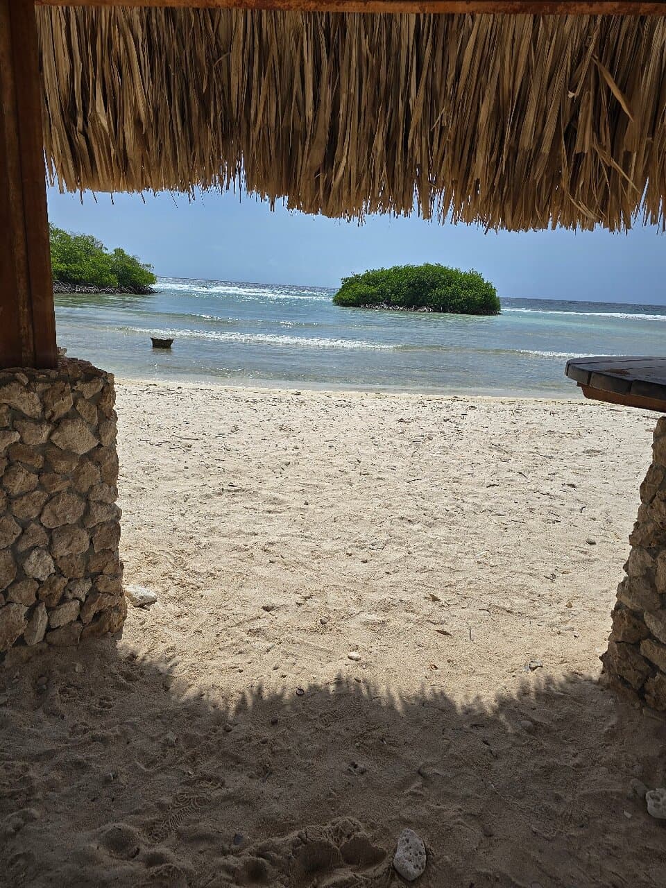 Nautilus Diving & Snorkeling Tours Aruba at TripAdvisor