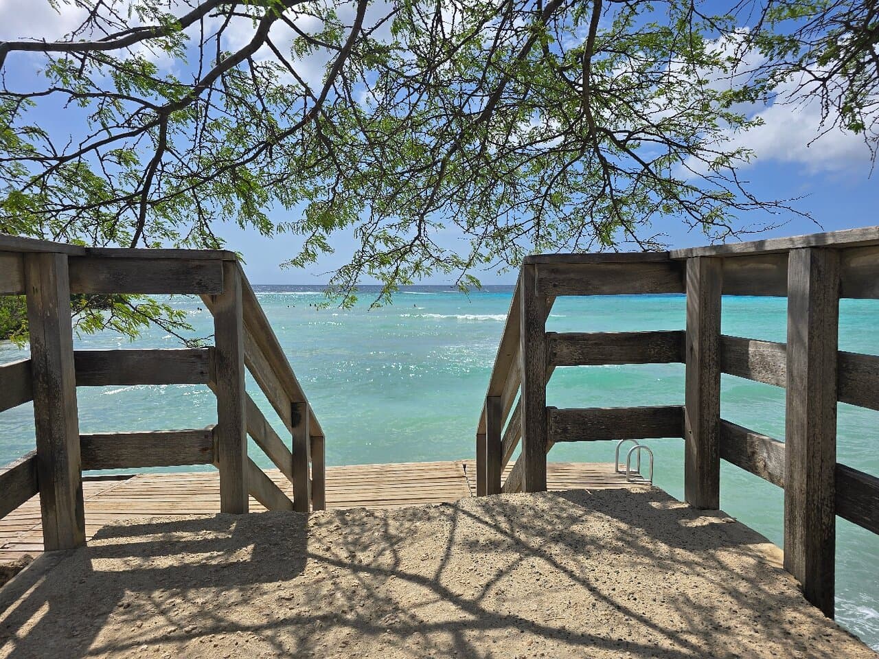 Nautilus Diving & Snorkeling Tours Aruba at TripAdvisor