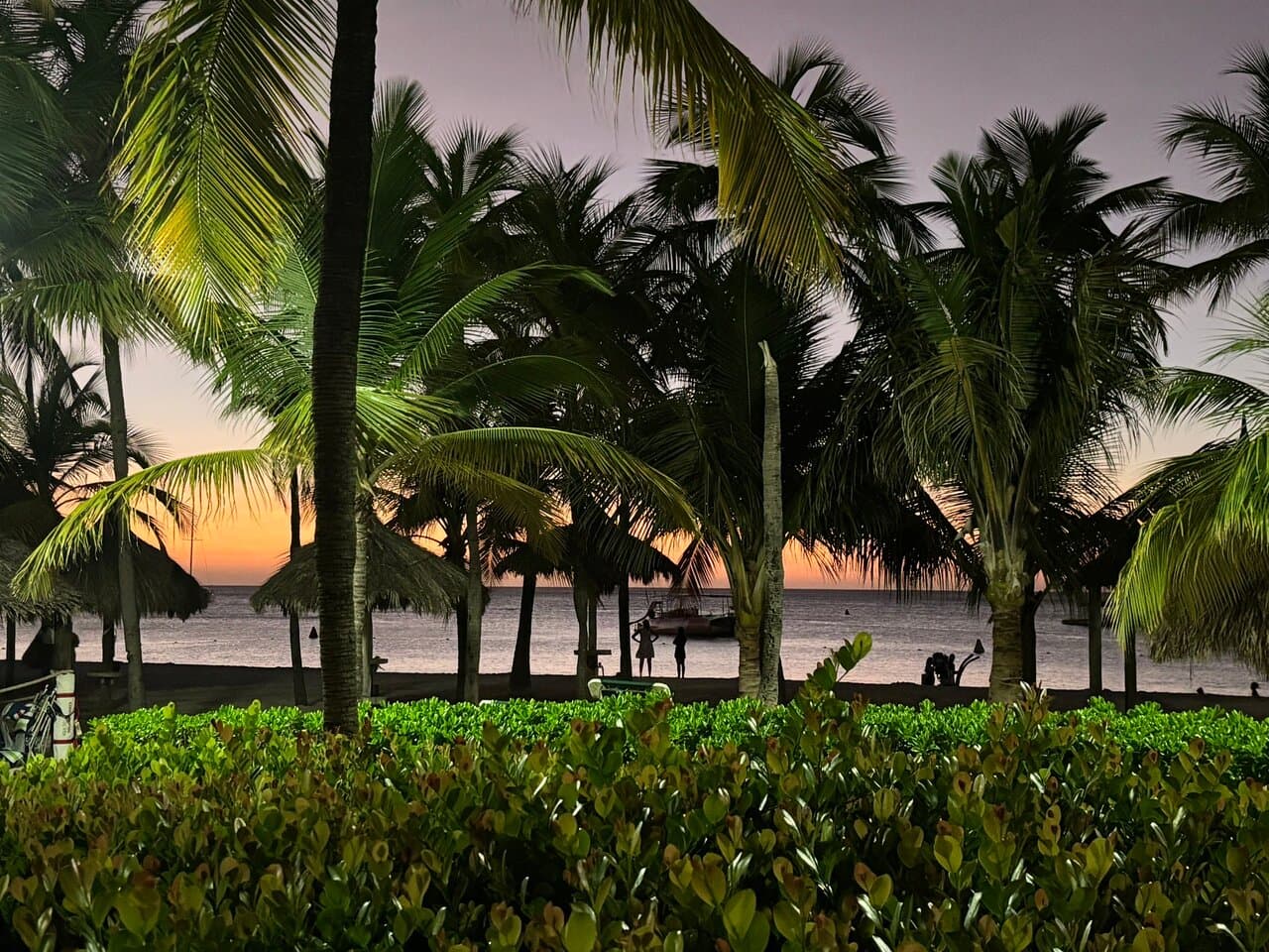 Arubian Seafood Restaurant at TripAdvisor