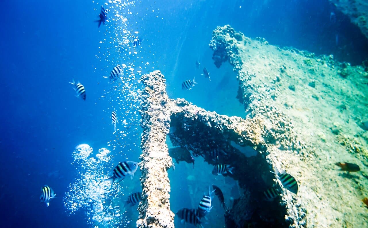 Antilla Shipwreck Aruba at TripAdvisor