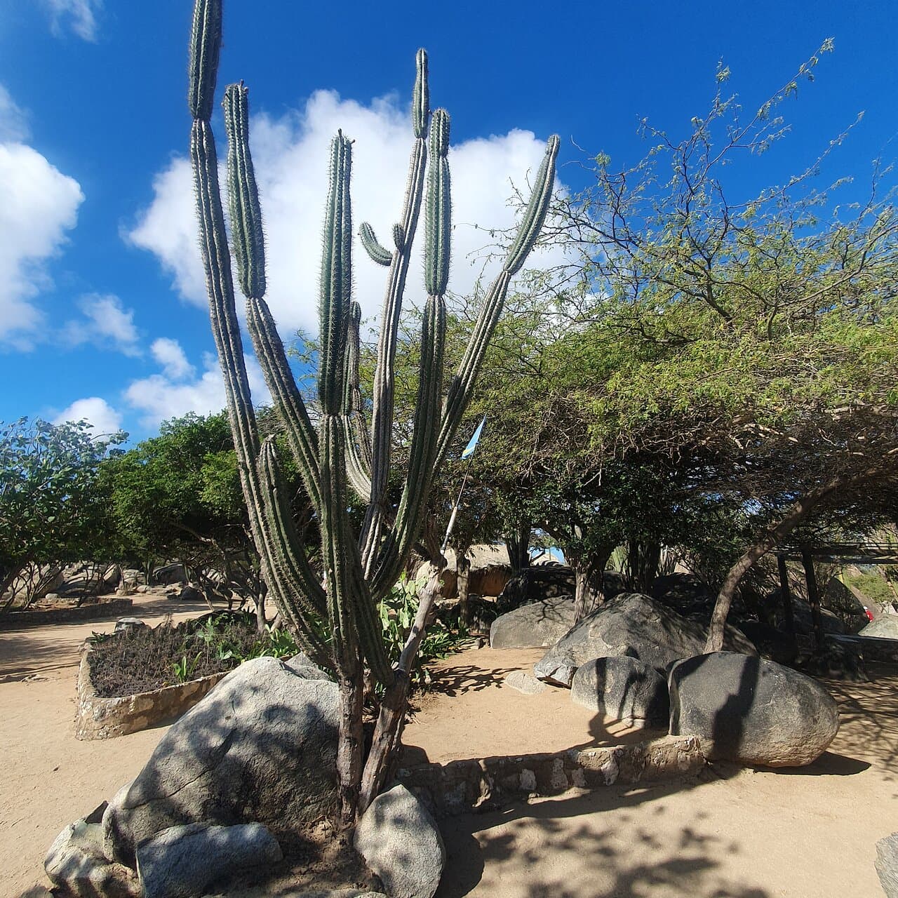 Casibari Rock Formations at TripAdvisor