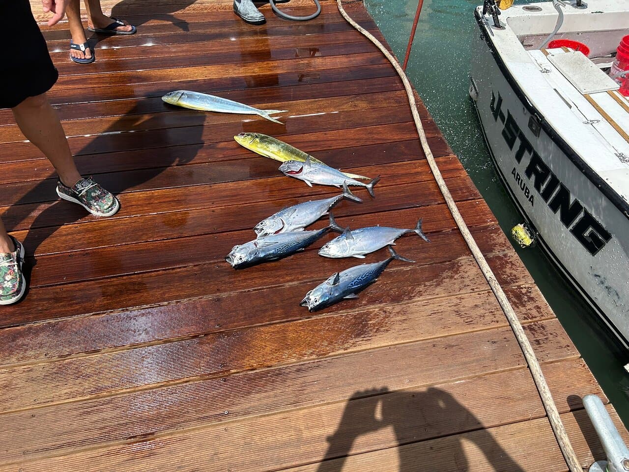 J-String Fishing at TripAdvisor