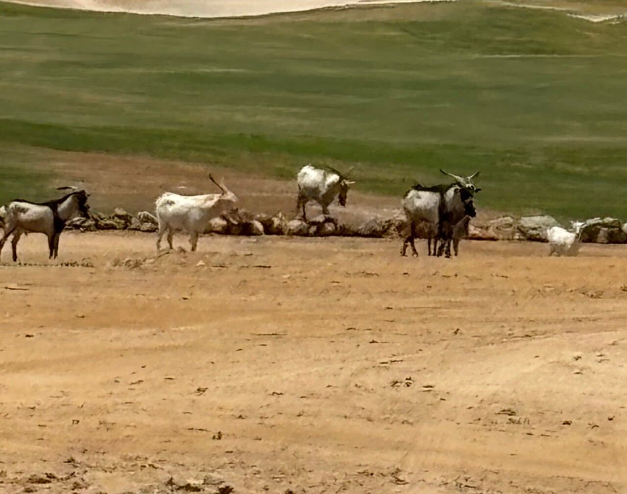 Tierra Del Sol Resort & Golf at TripAdvisor